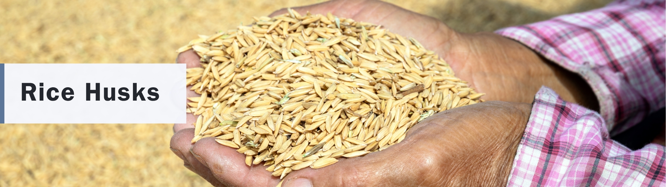 Rice husks used as a renewable natural fiber in Novano's sustainable composite building materials for durable, wood-free decking and cladding.